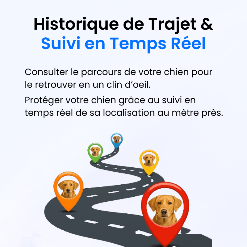 Tracker pour Chien Sans Abonnement