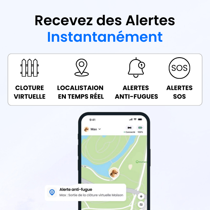 Tracker pour Chien Sans Abonnement