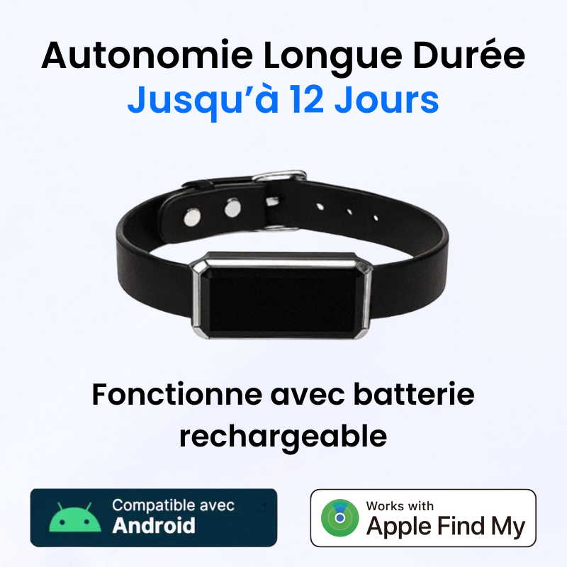 Tracker pour Chien Sans Abonnement