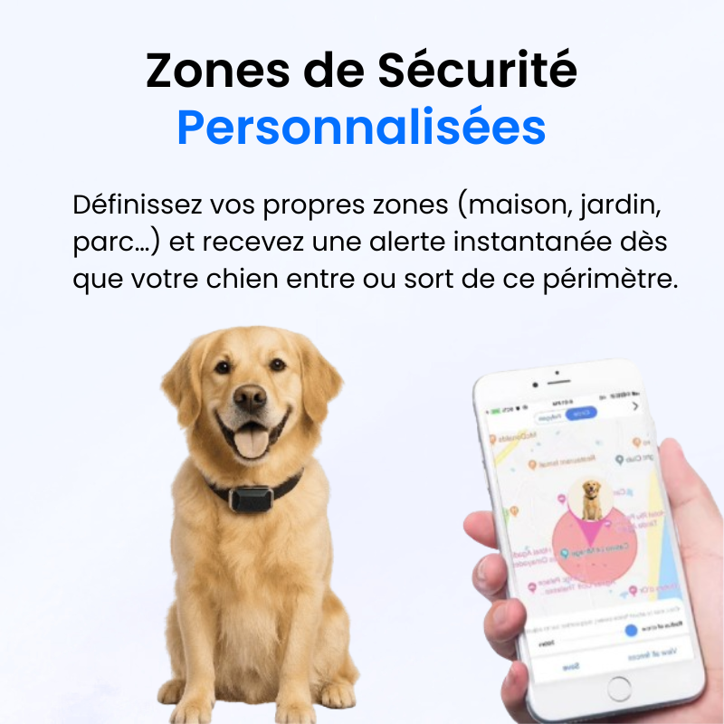 Tracker pour Chien Sans Abonnement