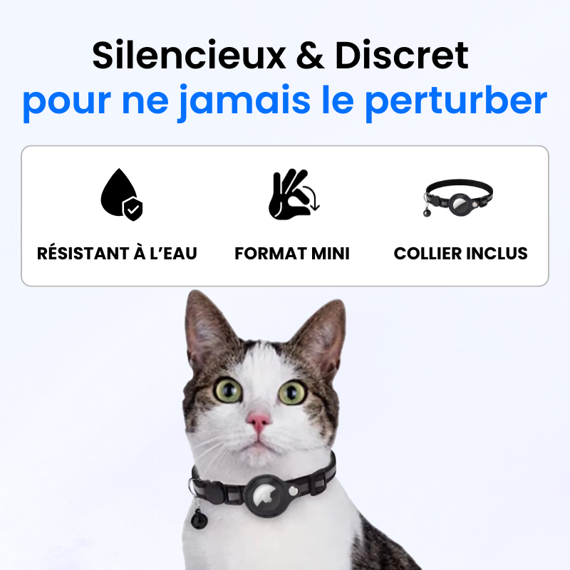 Tracker pour Chat Sans Abonnement