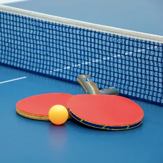 Table de Ping Pong Pliable, intérieure / extérieure, 274 x 152,5 x 76 cm